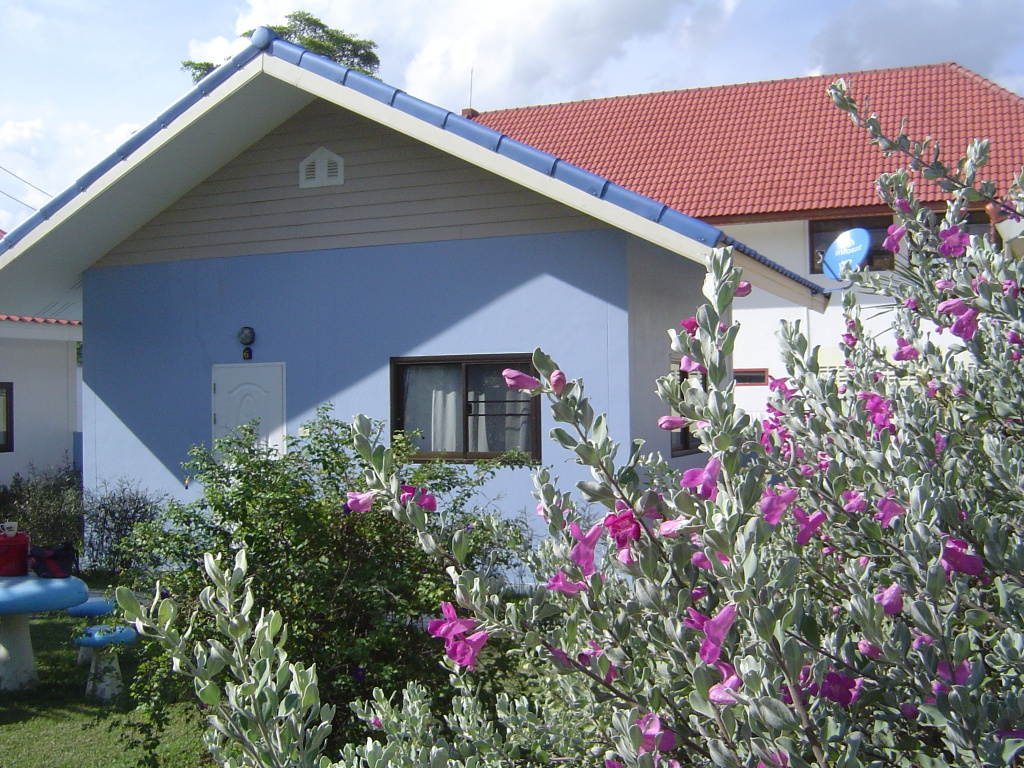 Standard Double room with garden view (twin beds)