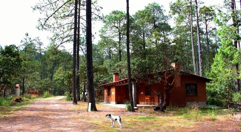 Centro Ecoturístico Cabañas Llano Grande