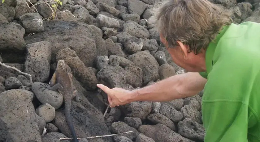 Suite amoblada en Condominio Riverfront II — фото 6