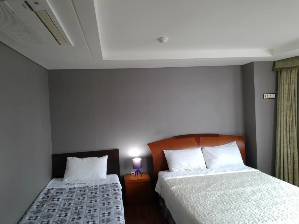 Deluxe Double room (twin beds)