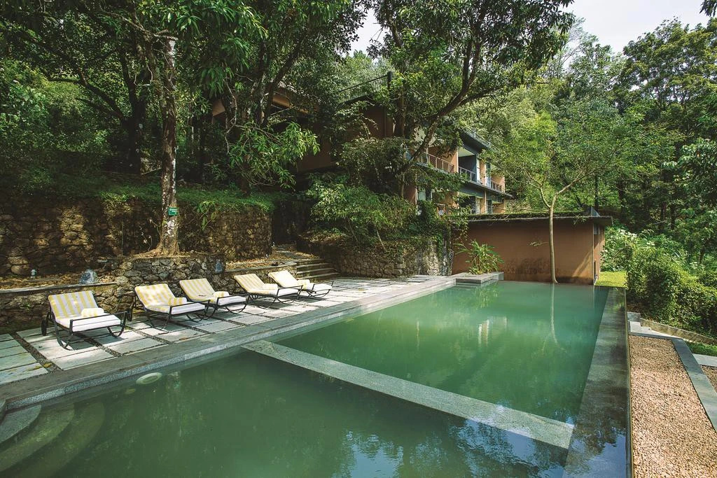 Rainforest Boutique Resort - Général