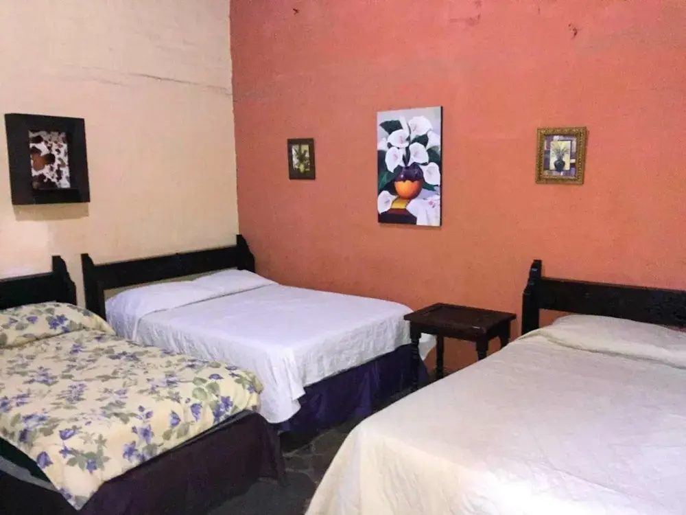 Hotel Villa Santo Domingo - Général