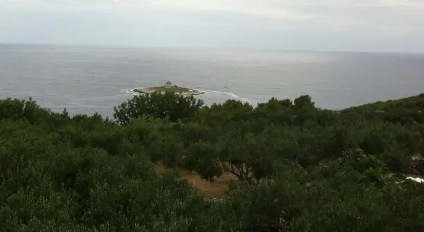 Camp Kopito