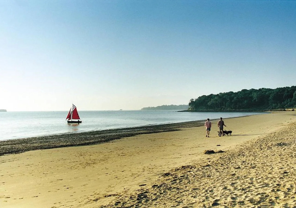 Priory Bay Hotel - Général