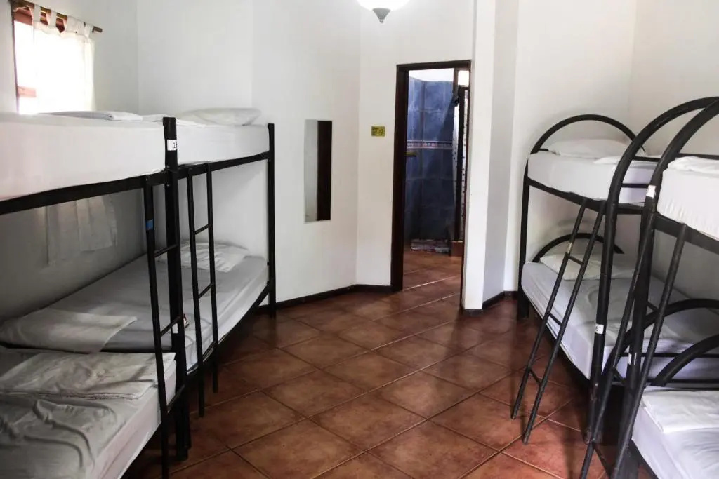 Bed in Dorm