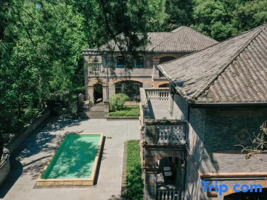Xingshan Wonderland · In the Forest