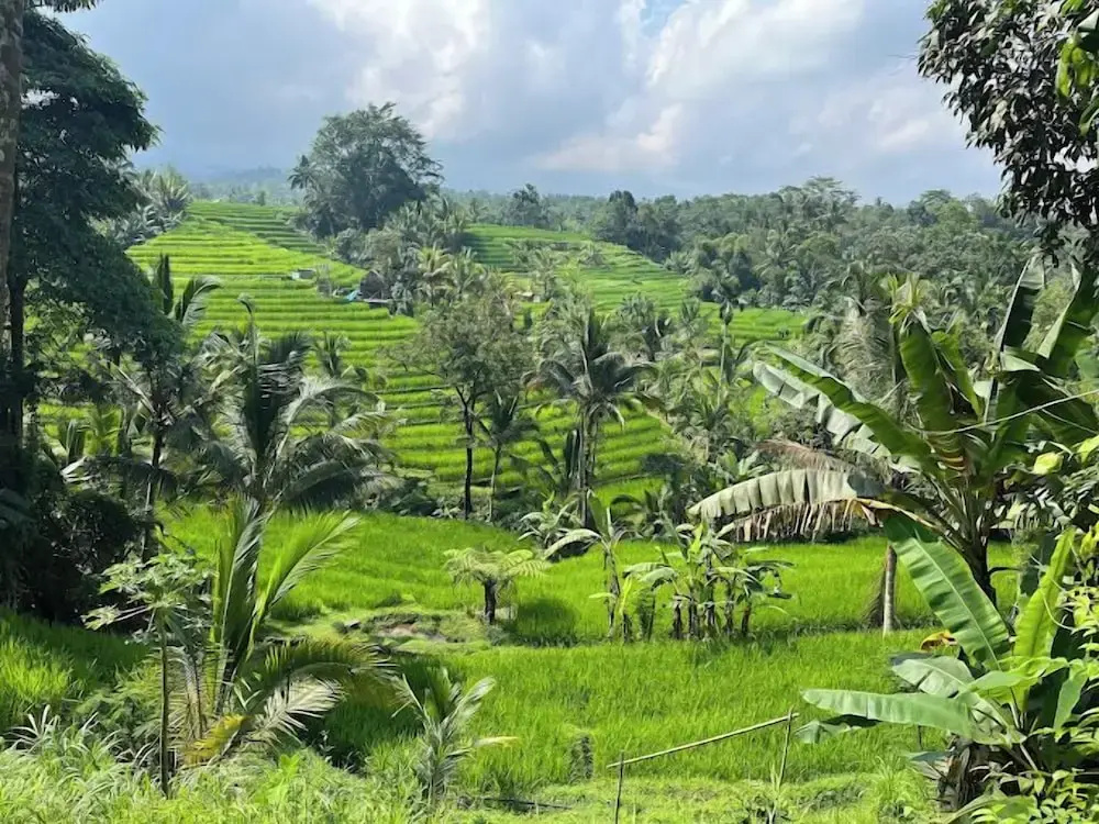 Saridevi Ecolodge Bali