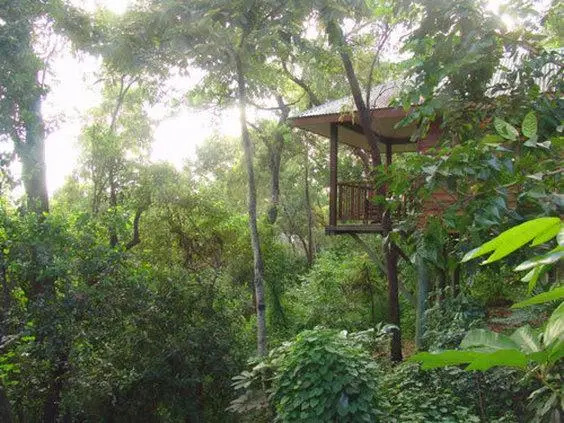 Thala Beach Nature Reserve - Chambres