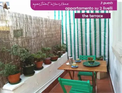 Apartment mYourHome