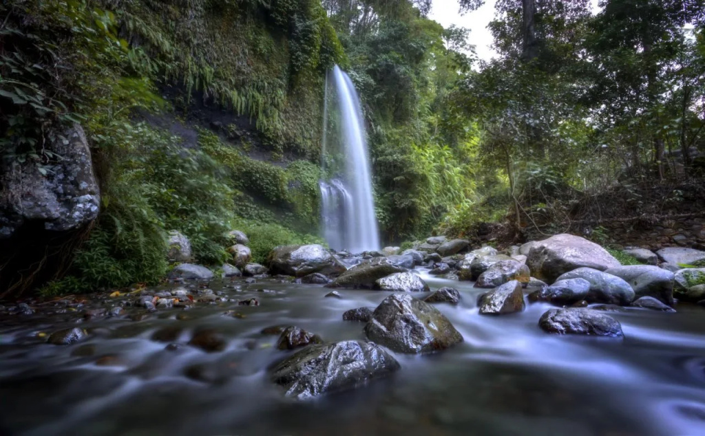Maria Guest House  Trekking Organizer