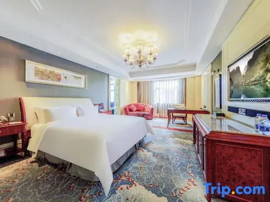 Standard Double room with city view (full double bed)