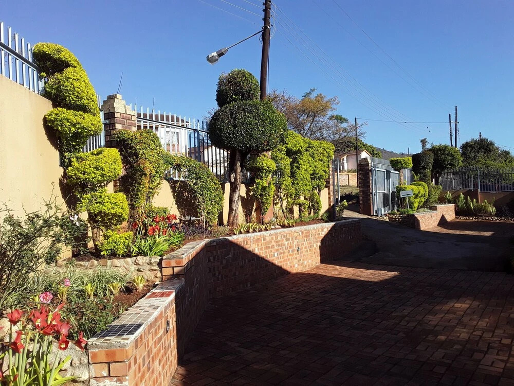 Image 15