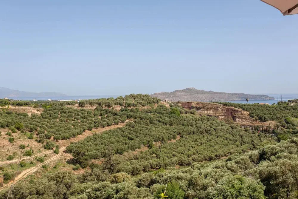 Hillside Seaview Apartment