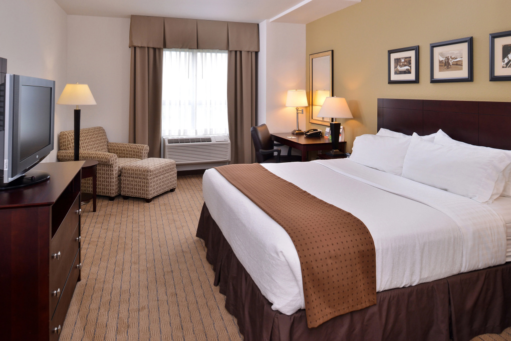 Holiday Inn Madison at The American Center by IHG - Général