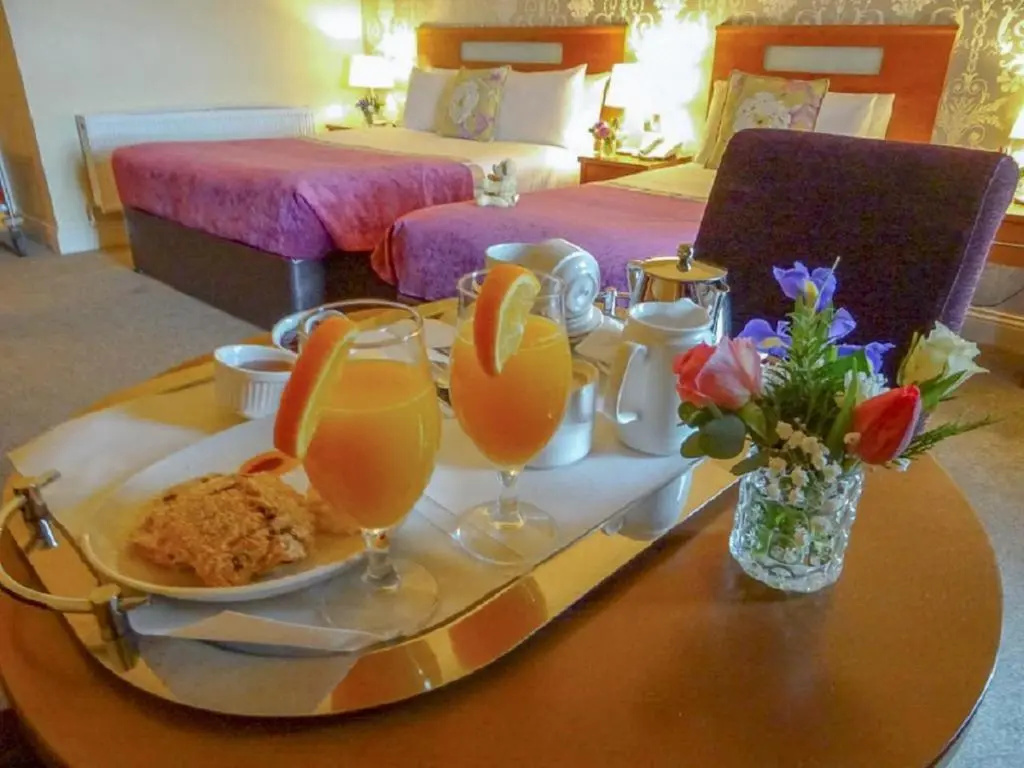 Raheen Woods Hotel - Chambres