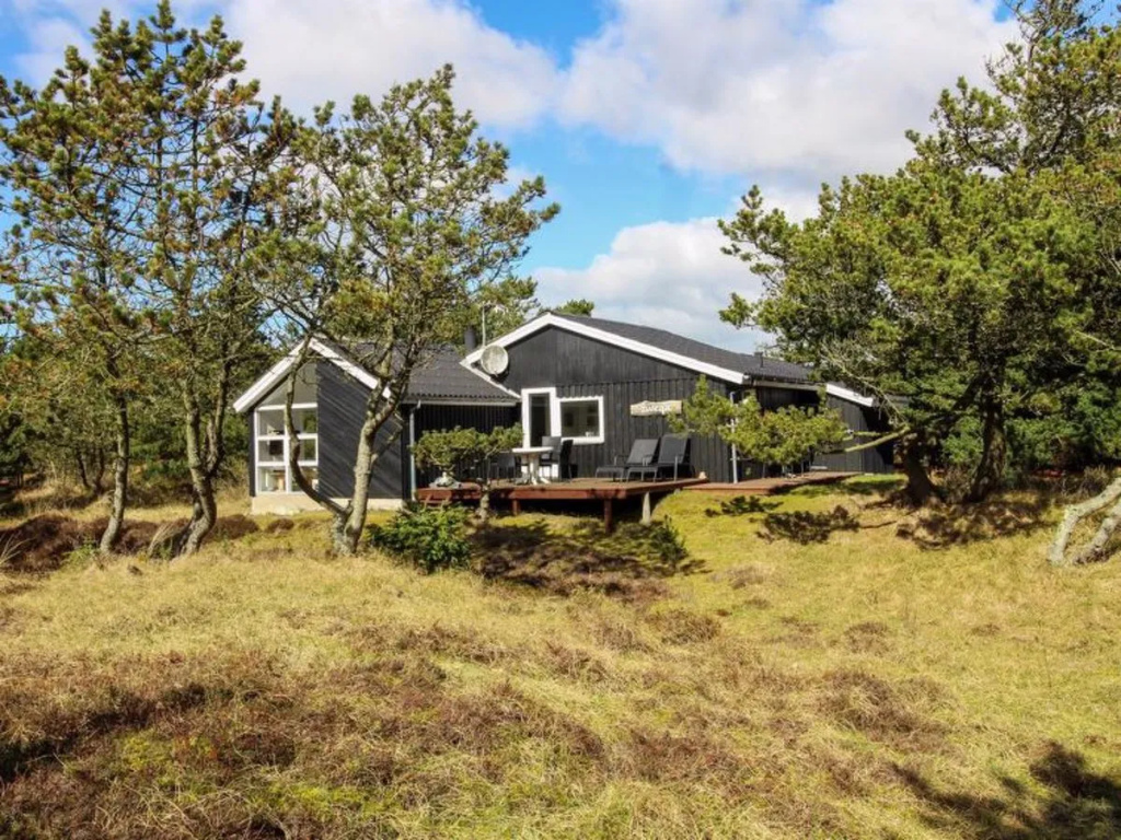 "Toja" - 500m from the sea in Western Jutland