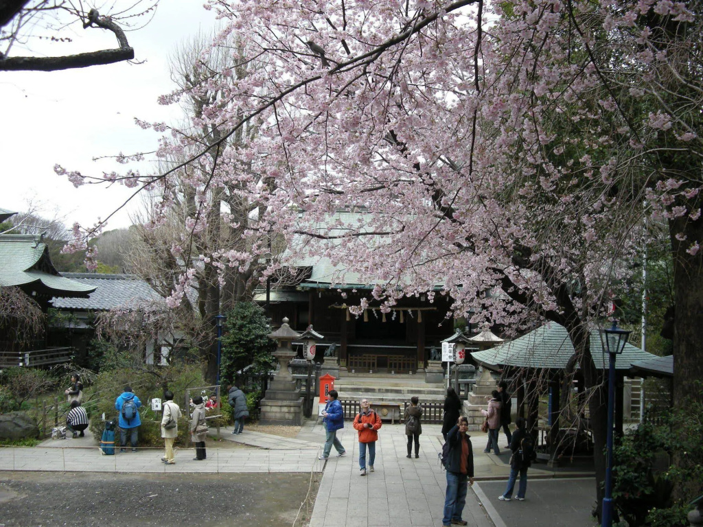 Ueno Terminal Hotel 사진 27