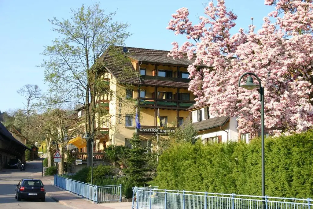 Landhotel Salmen - Général