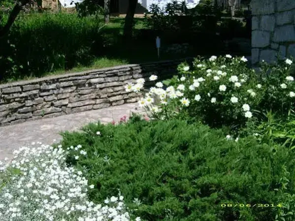 Hotel photo 45