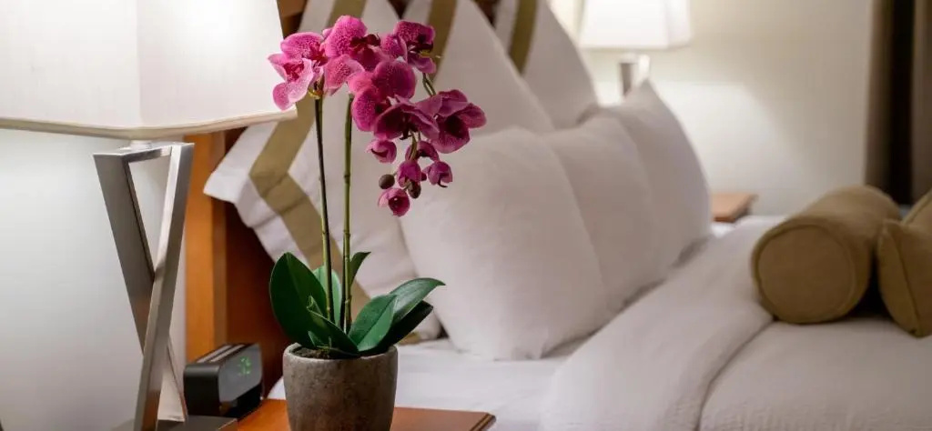 Service Plus Inns and Suites Calgary - Chambres