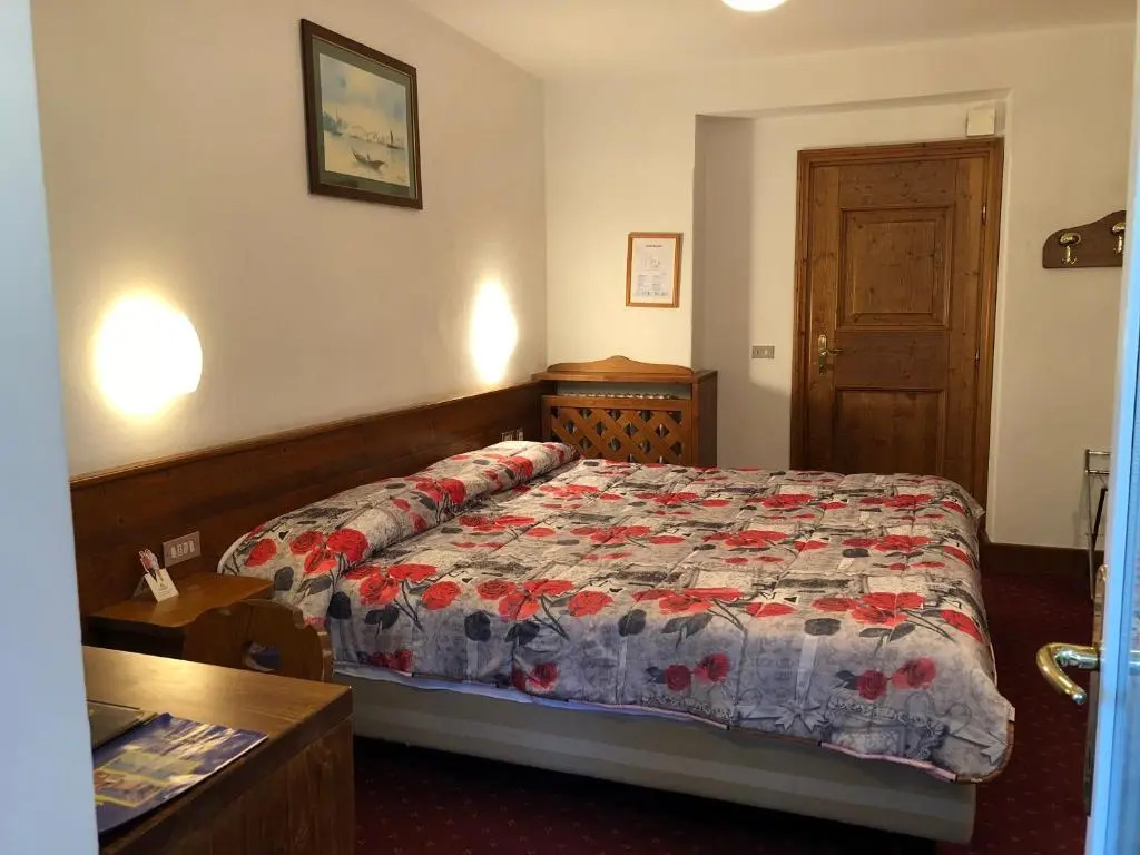 Standard Double room (full double bed)