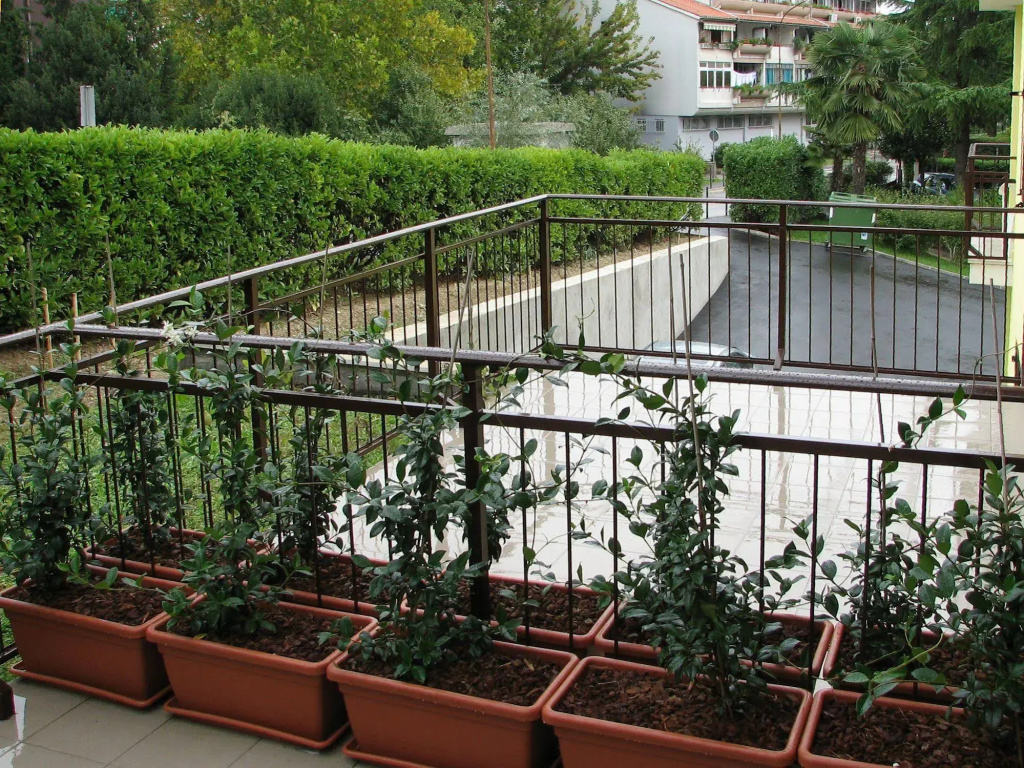 Hotel Keltika - Général