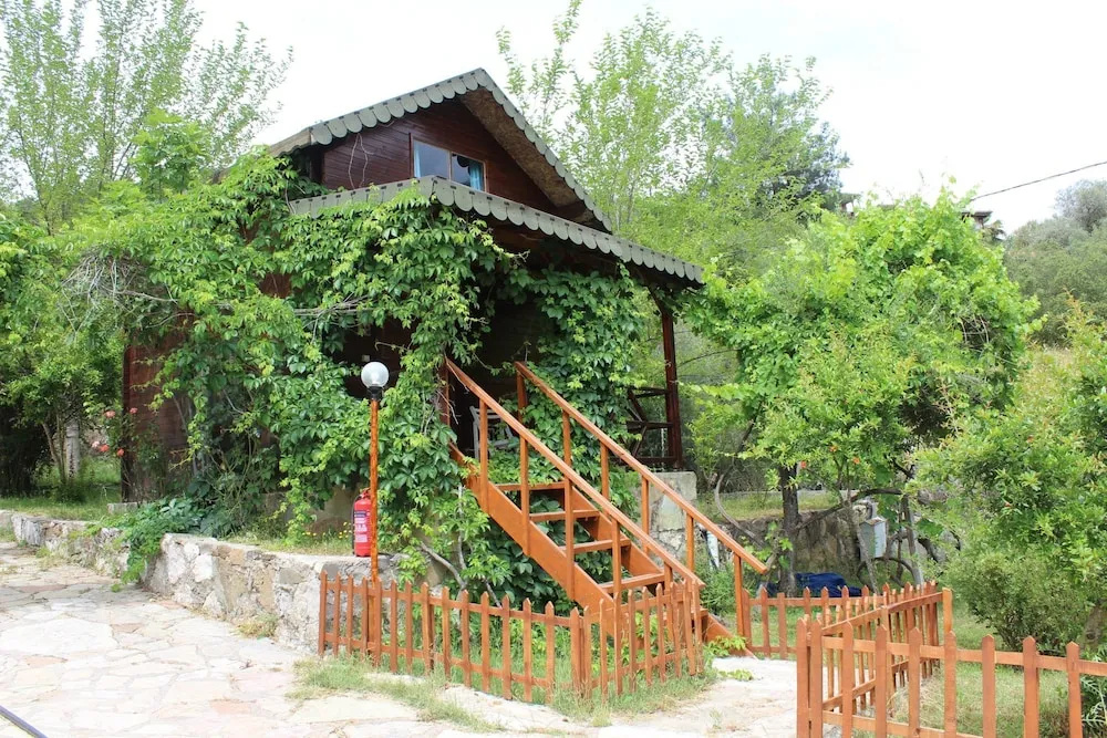 Hotel photo 35