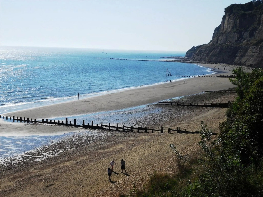 Luccombe Manor Country House Hotel - Général