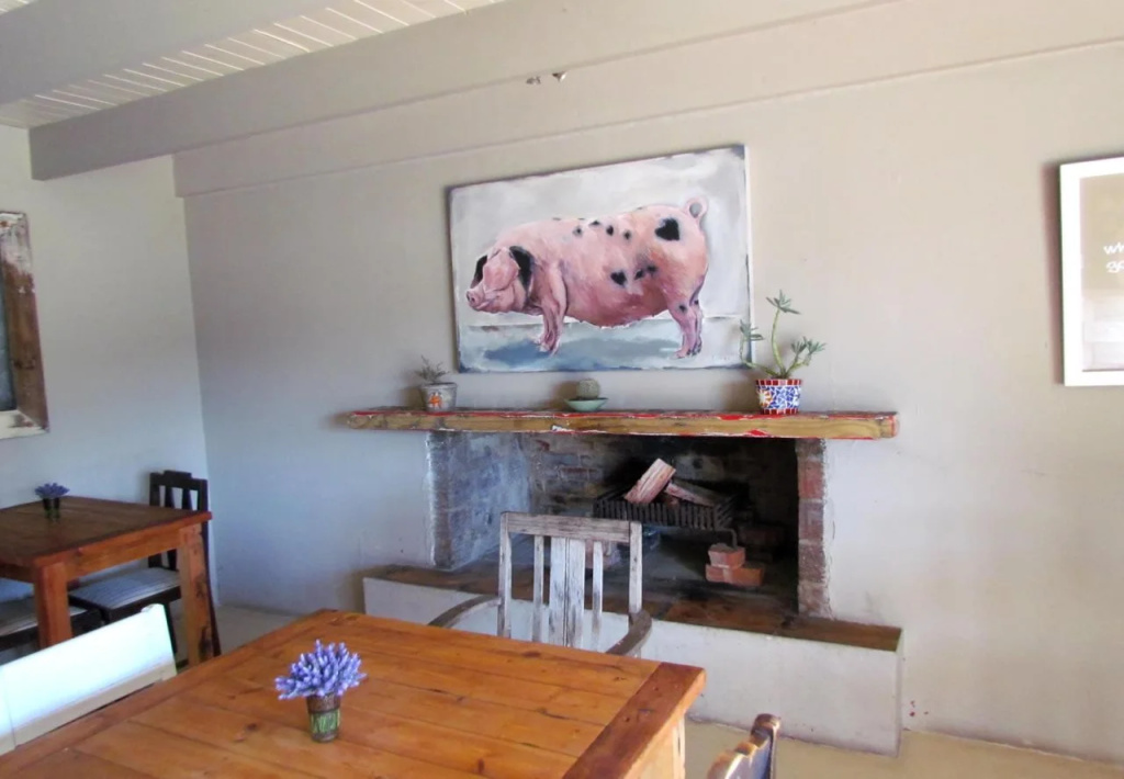 Plett River Lodge - Général