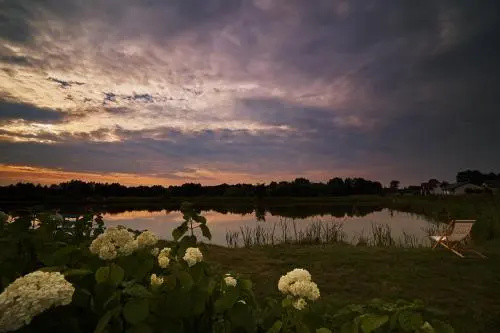 Rancho - Général
