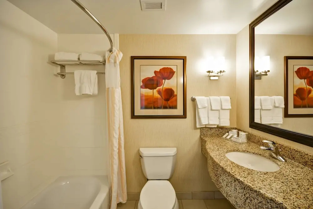 Hilton Garden Inn Tampa/Riverview/Brandon - Chambres