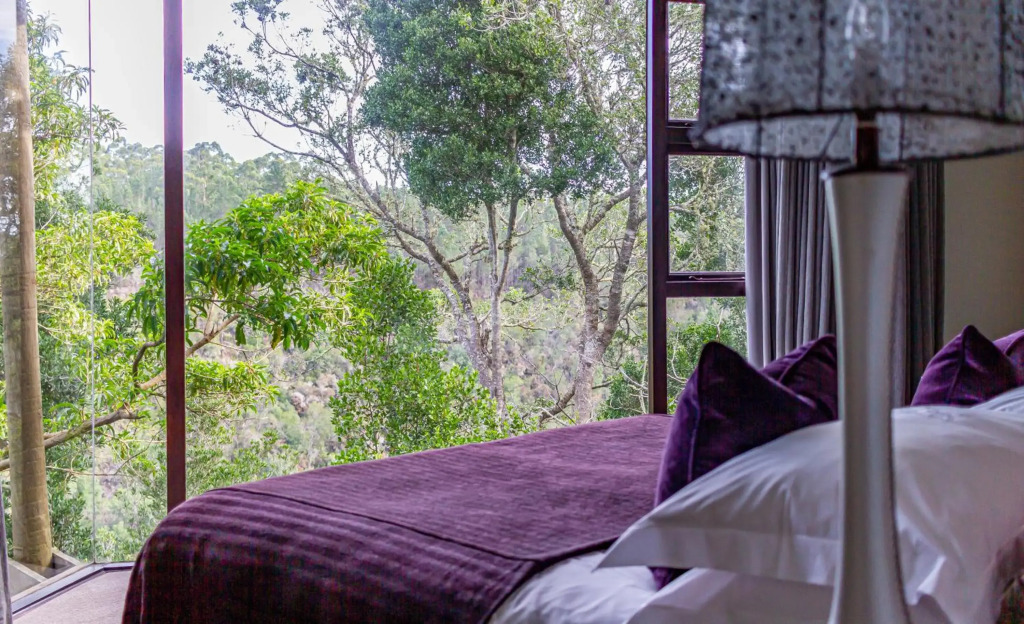 Tsala Treetop Lodge - фото 50