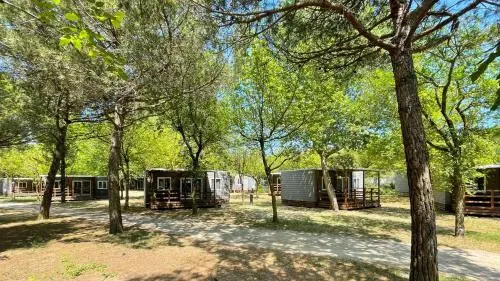 New Campsite in Camping Ca' Savio