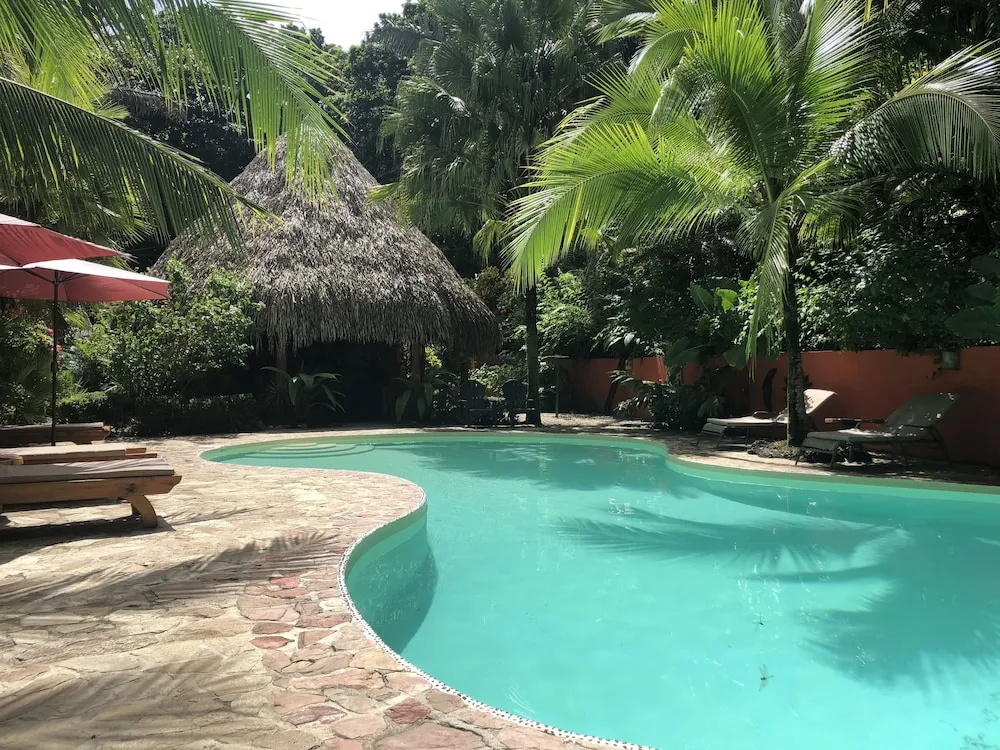 Hotel El Pequeño Gecko Verde - Général