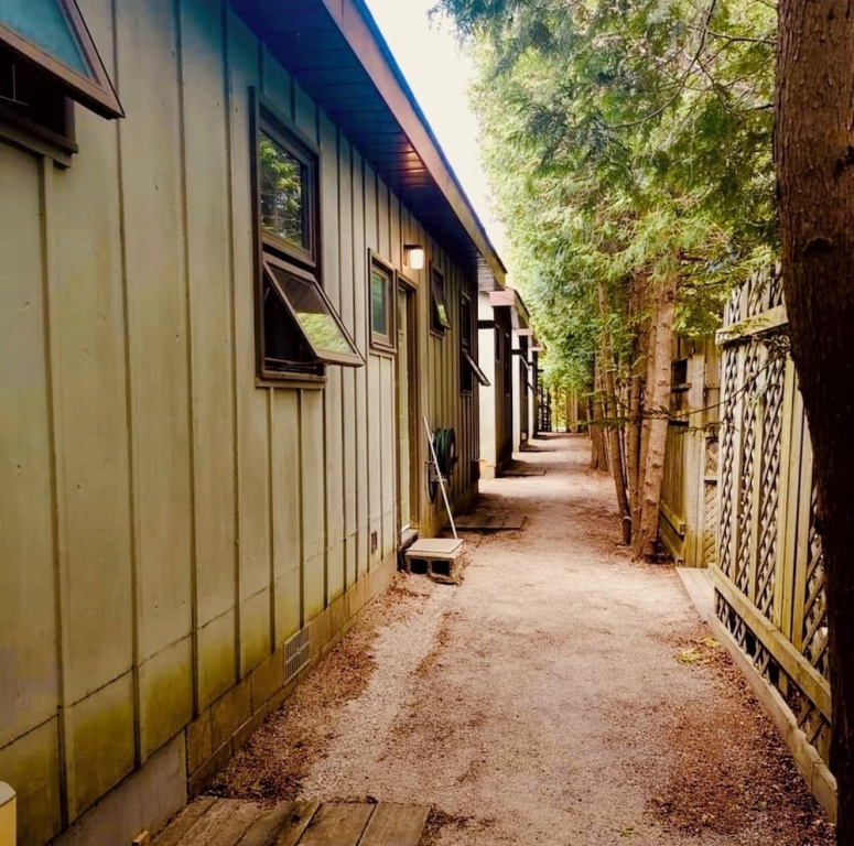 Black Horse Motor Inn