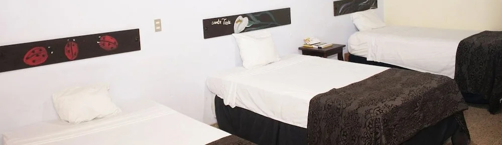 Hotel Jardín del Carmen - Général