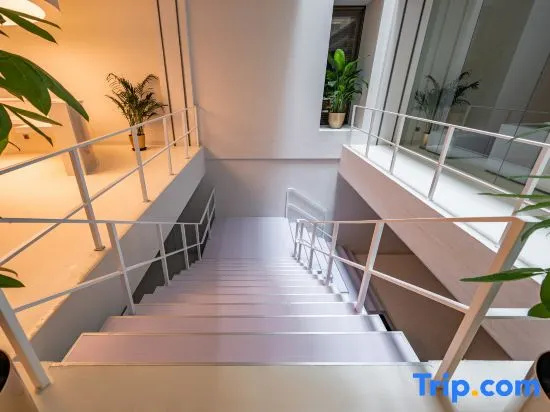 Balcony & Terrace