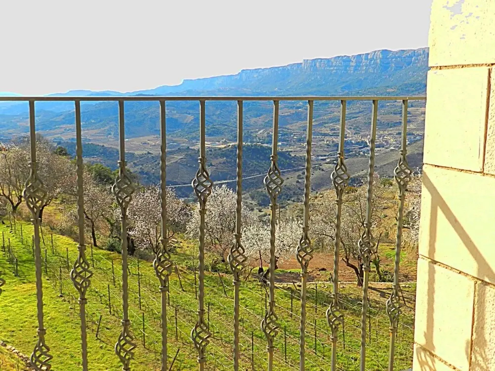 Balcony & Terrace