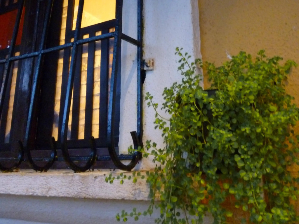 Afonso Guest House