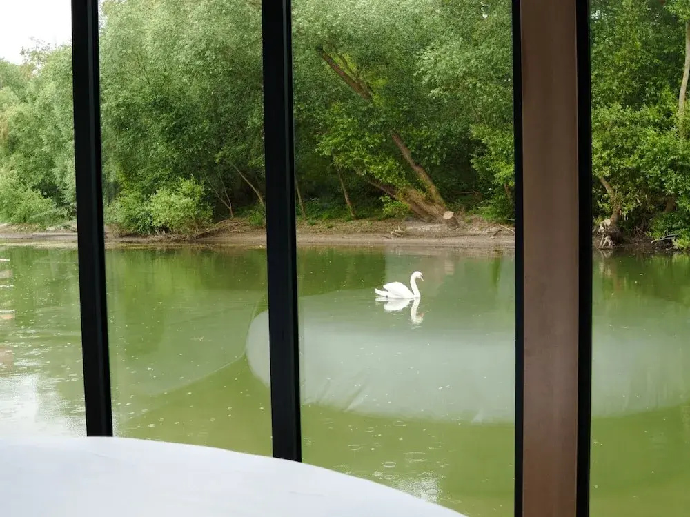 L'Escale Royale Poissy Ile de Migneaux