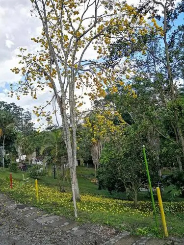 De La Vega Hotel Campestre