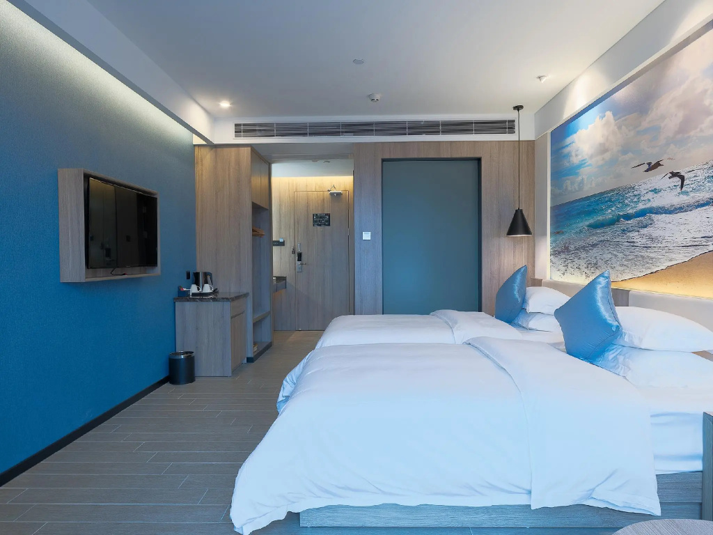 Deluxe Double room with city view (twin beds)