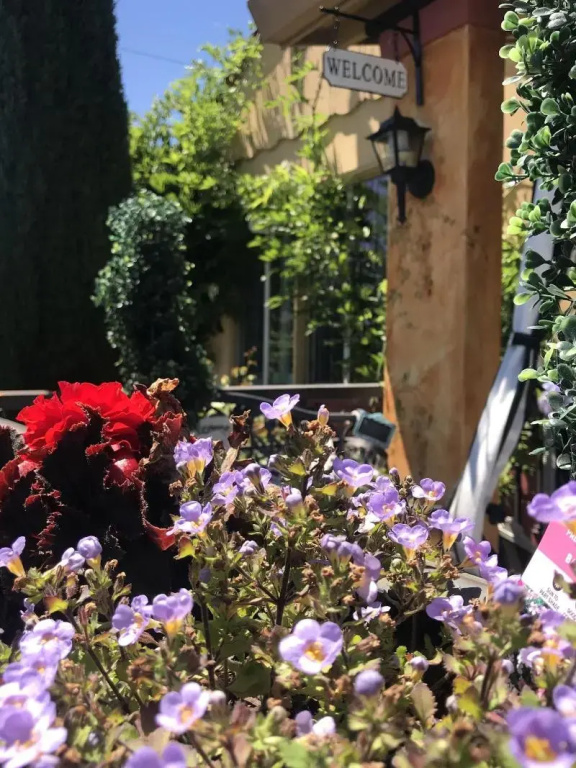 Hotel photo 29