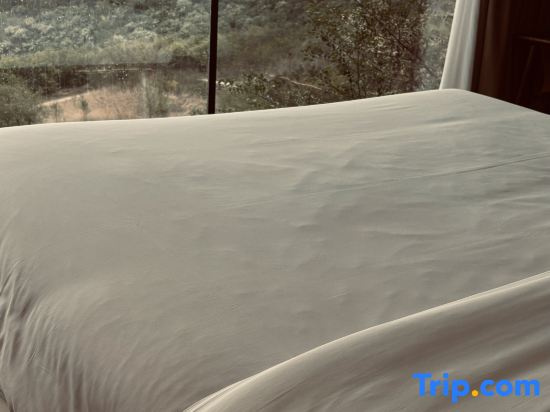 Tigerlily - Chambres