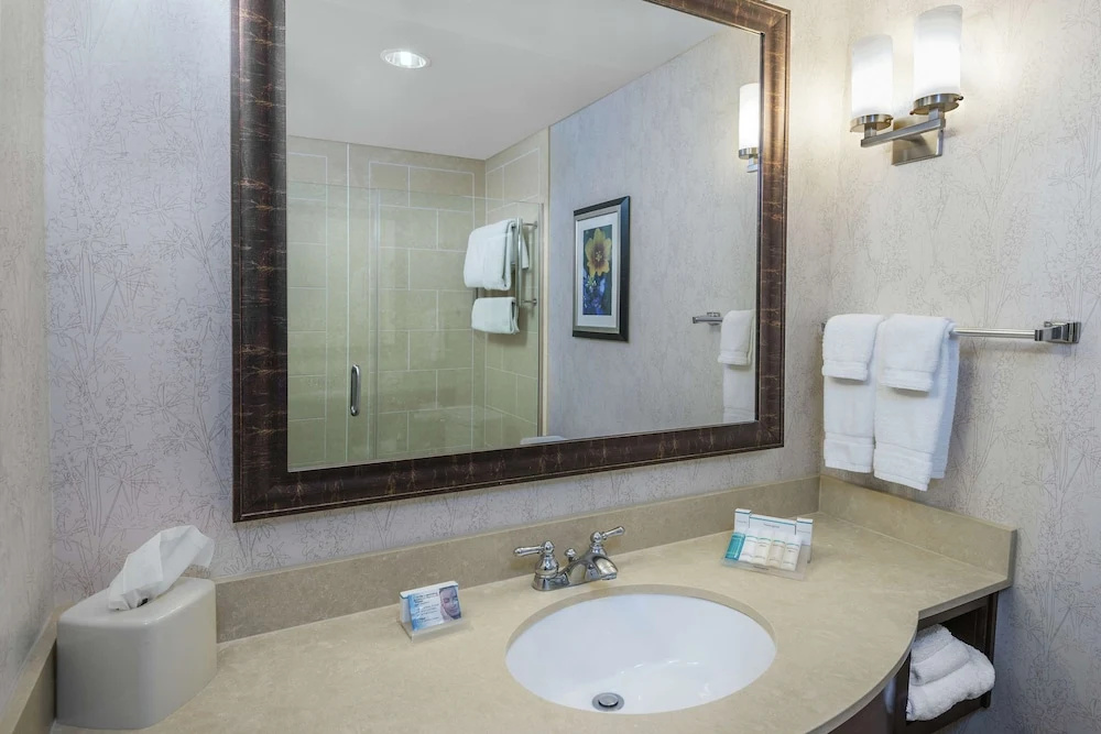 Hilton Garden Inn San Antonio At The Rim - Chambres