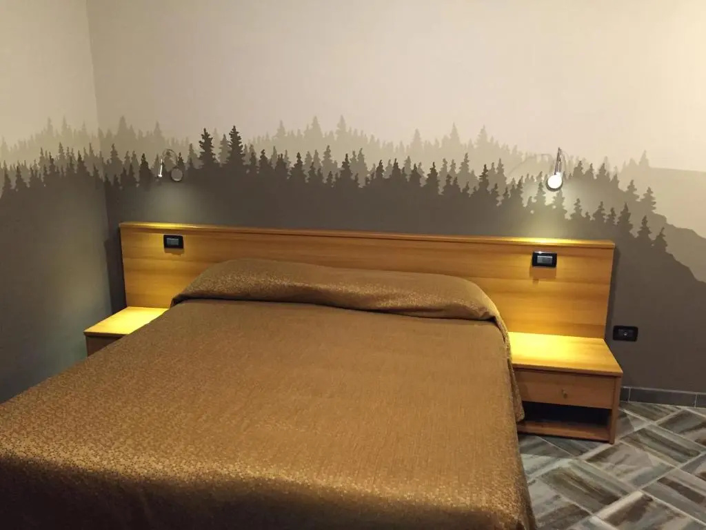 Standard Double room (full double bed)