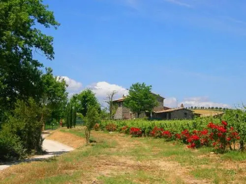 Agriturismo Il Poggio di Orvieto - Général