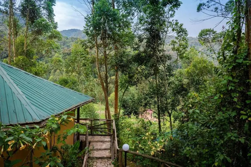 Gorilla Safari Lodge - Général