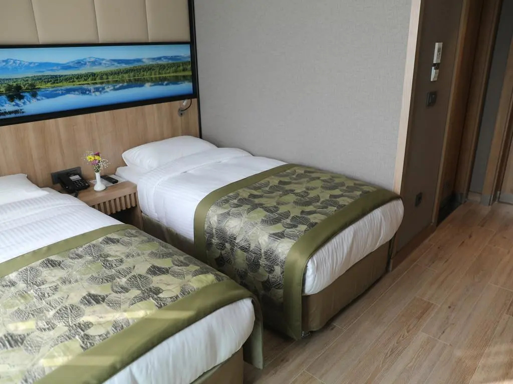 Standard Double room (twin beds)