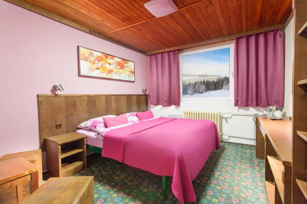 Hotel Tetreví Boudy - Chambres